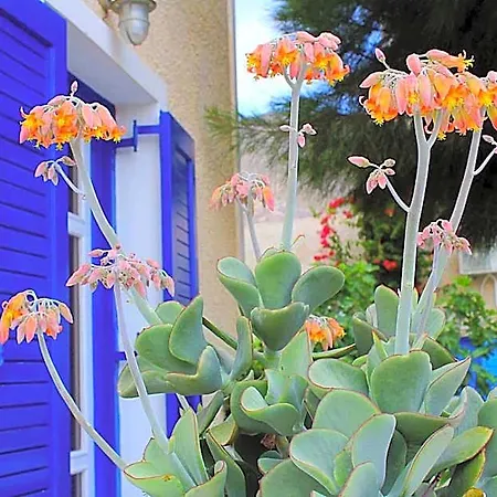 Fortuna Hotel Perissa (Santorini)